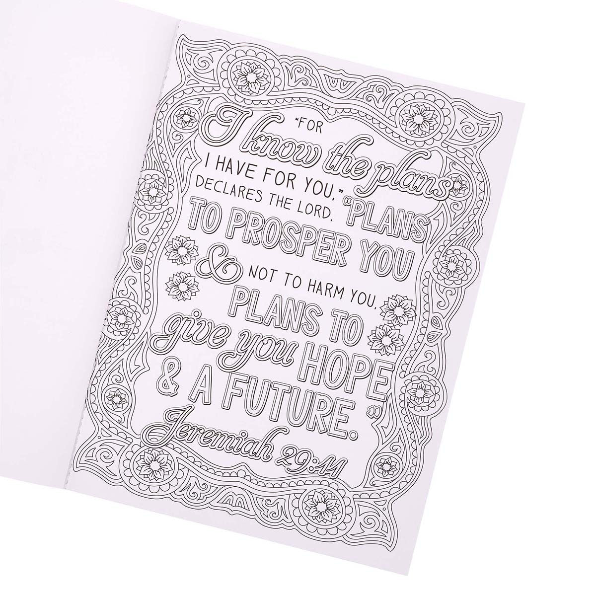 I Know The Plans I Have For You Adult Coloring Book