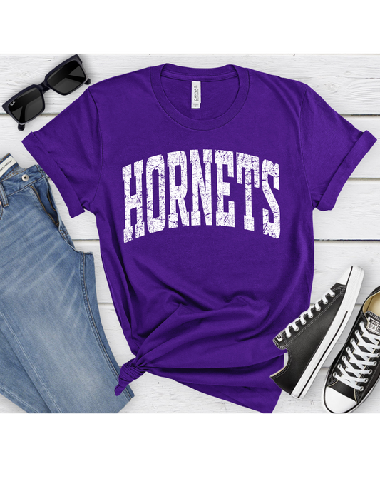 Vintage Hornets Youth Short or Long Sleeve T Shirt
