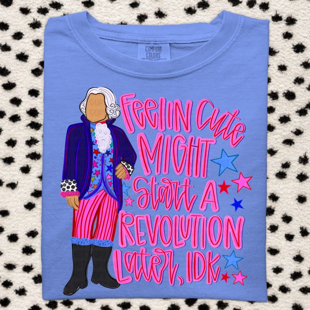 Feelin Cute Might Start a Revolution Later