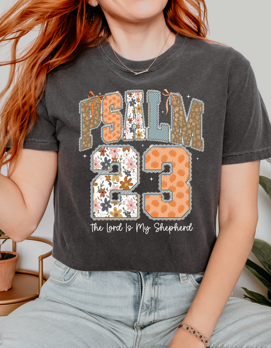 Psalm 23 Short or Long Sleeve T Shirt